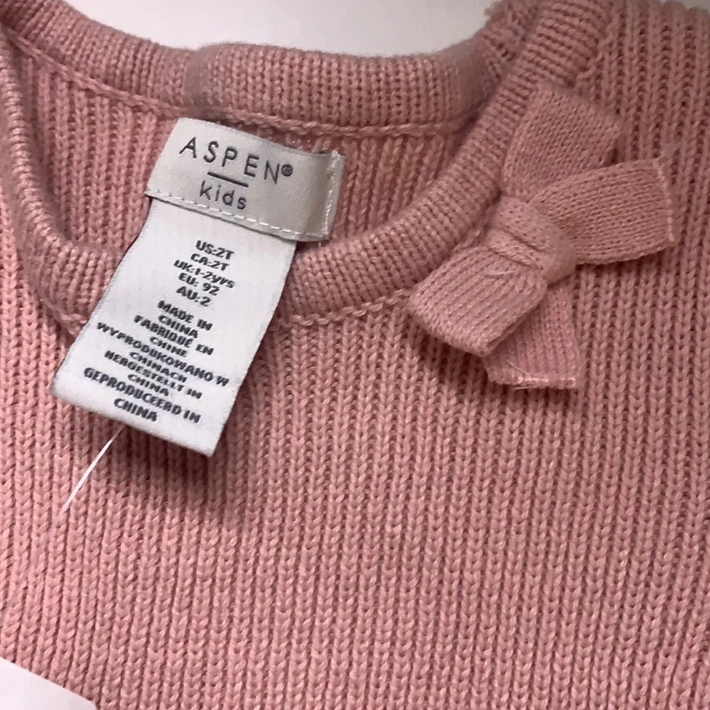 NWOT ASPEN KIDS Pink majestic unicorn animal embroidered knit dress 2T